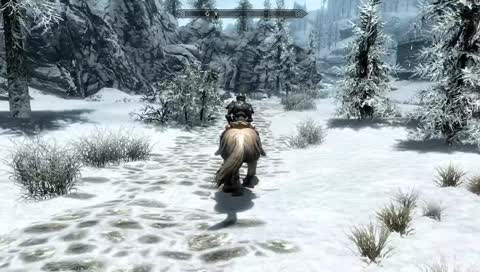 skyrim pala