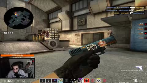 [PT/ENG][!giveaway][!wallpaper][35s DELAY] Tropas #balatorta pá carola BRAAH !twitter !instagram !comandos #zulucrewfamily @tropaSuprema