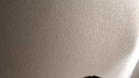 izukumidoriya6’s mobile stream