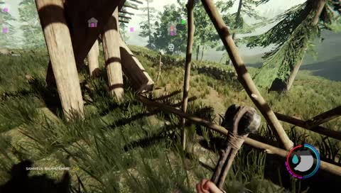 The forest