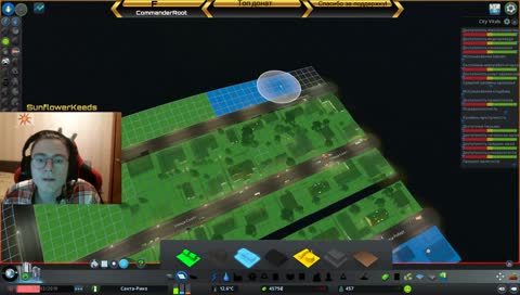 гоняем в Cities skylines