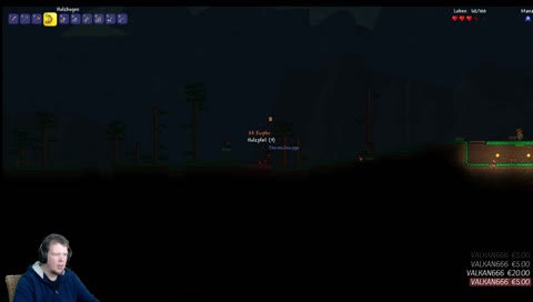 Terraria - Schaffe, Schaffe, Häusle baue! 
