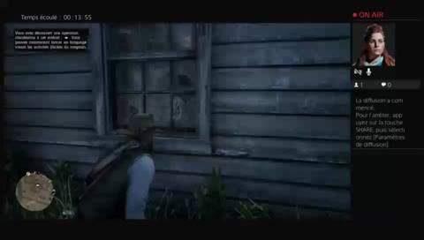 Red Dead Redemption 2 