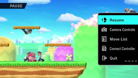 Its been 10 years since I've played a Smash game....