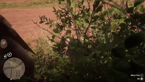 Red Dead trolling with team weird ...Road to 800 <3 #weg
