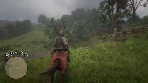 Red dead redemption 2 online gameplay