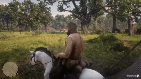 Red Dead redemption 2