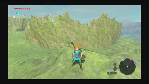zelda with my wife