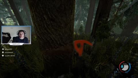 :v agua con el arbol