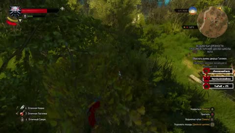 🔥 Геральт который смог / Кровь и вино. [ Открытие всех точек - ''❔" ]