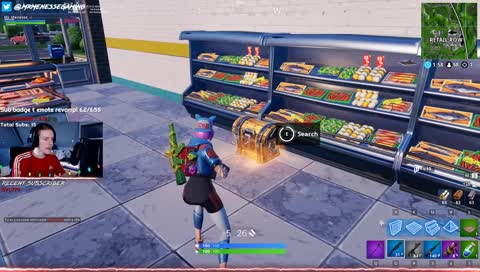 lost my job :/ go full-time streaming??!