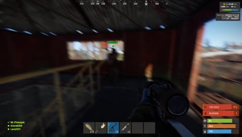 Rust with firends XD Lara, Pineapple, Anorektik PRO team CZ/SK