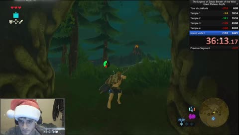 Speedrun any/ Zelda BotW