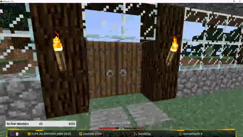 [FLIGHT IN BACKGROUND] Minecraft Survival!