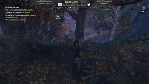 Assassin's Creed continues...