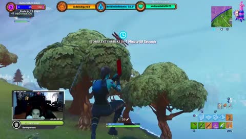 Fortnite with Friends