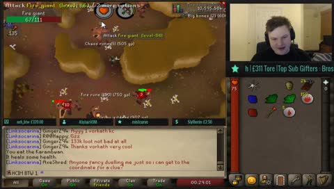 HCIM Slaying things I'm told to