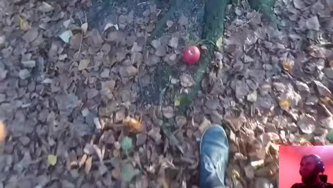 za followka 3 pompeczki, 1zł - pompeczka <3 
