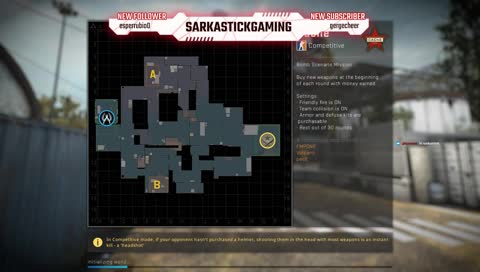 HA YOU missed CS:GO!!!!!!!!!!|| road to 30 subs!!