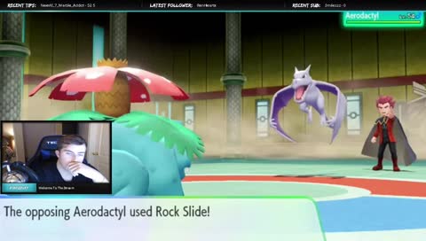 Road To 500 Followers |Elite 4 & Smash Later| Chill Stream | Interactive Streamer