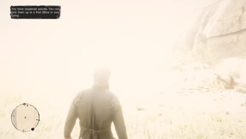 Red dead Redemption 2 Online Scrubbing