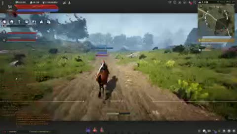 some black desert shenanigans