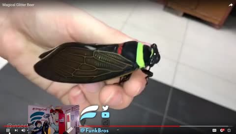 LETS TALK AND WATCH VIDS TOGETHER!