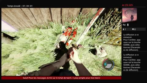 The forest fr /multi/ ps4 pro 1080p 60fps