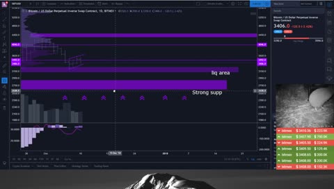 Let's Look at the Market! !website !showtime for schedule
