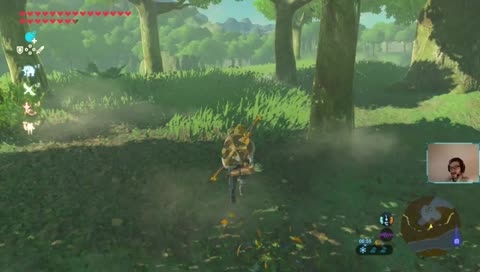 Zelda BotW #46
