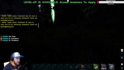 Ark Server with the PeakedGG Community! Come hang out!! | Powered by PeakedGG