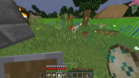 Mine Survival Vamos por huevos de tortuga y a casita