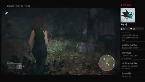 Bugs, glitches and other nonsense.