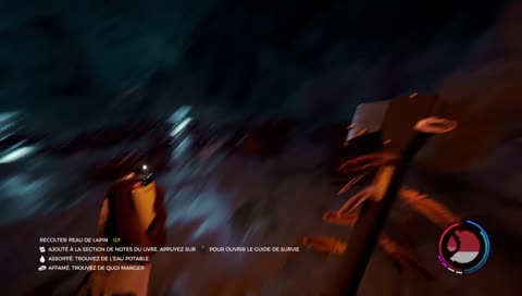 The forest PS4 ! Joignez vous au camp !