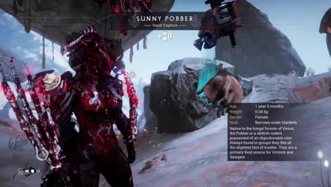 WARFRAME -PS4- HELPING FELLOW TENNOS- RELIC CRACKING & GOLD VALT HUNTING & BP CRAFTING & FAR