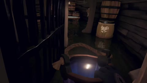 sea of theives//brig