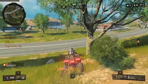 Blackout: solo: 250+ top1