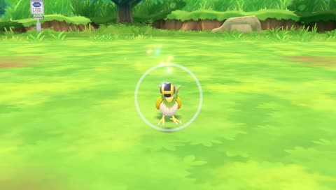 Shiny Hunt | Aktuell 8 und eins davon zum weggeben!