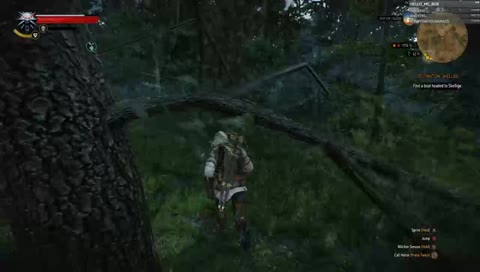 Relaxing with Side Quests, saving Mages, and chatting