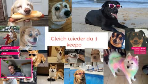 CSGO Weggenudelt werden beste fast global gameülay