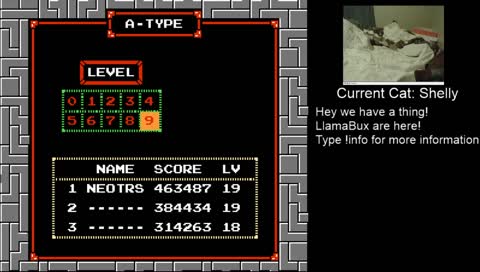 NES Tetris Practice