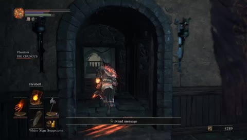 Dark Souls III - Dummy friends