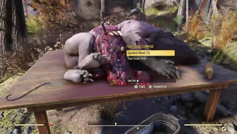 GZAMcFly's Live Broadcast