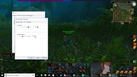 Vanilla WoW - Leveling + Mara + World PvP later - Northdale