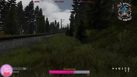  0.63 Beta! Сервер  "Без правил! Без пощады!"
Peppa здесь!