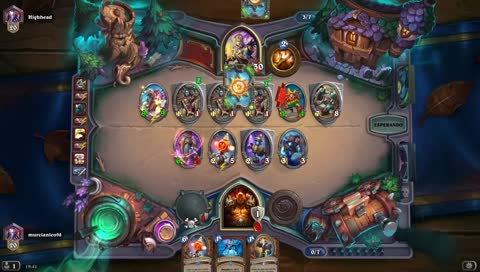 LADDER MIRIFICO