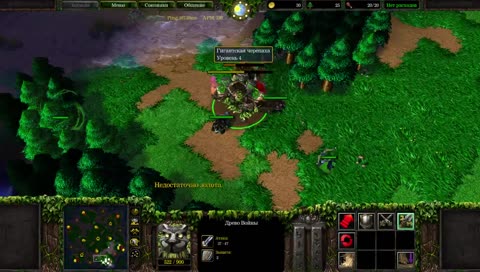 Battle net . going top 10!