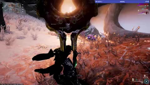 [MR26] Pluszaki, ryby i inne atrakcje...