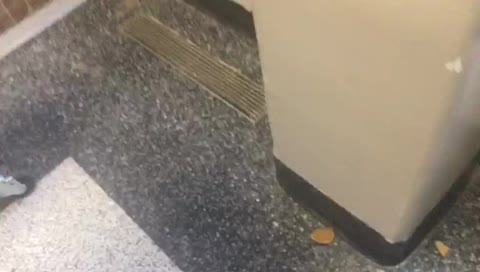 visionz_x’s mobile stream