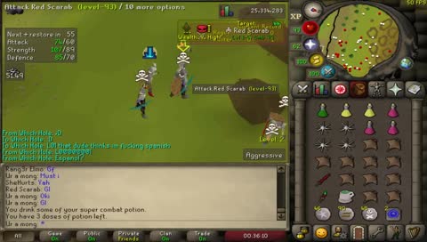 Piety pure pking with a cast on